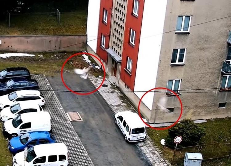 Hrdlička